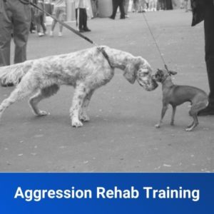 Aggression Rehab Training