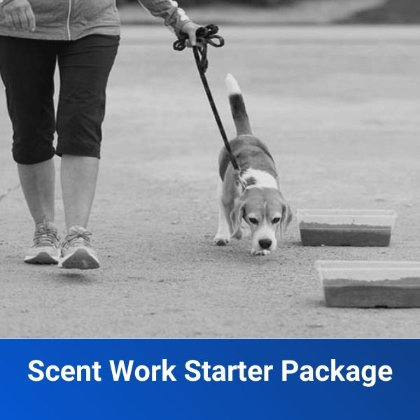 Scent Work Starter package