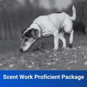 Scent Work Proficient Package