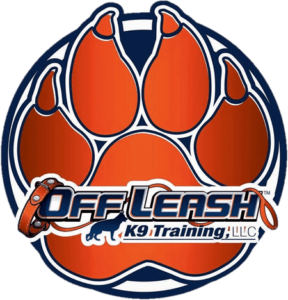 Picture of Justin Rie