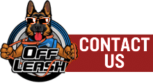 Contact-Us-Widget-Image