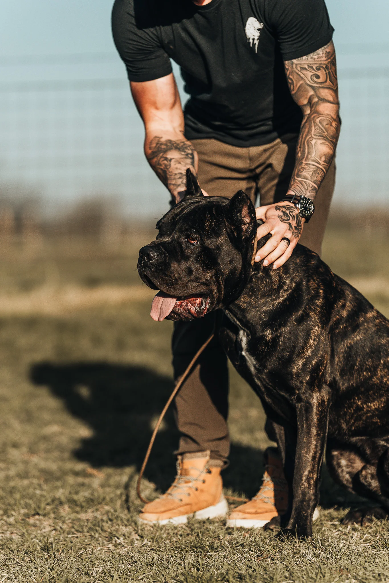 Master Trainer Justin Off Leash K9 Training DFW