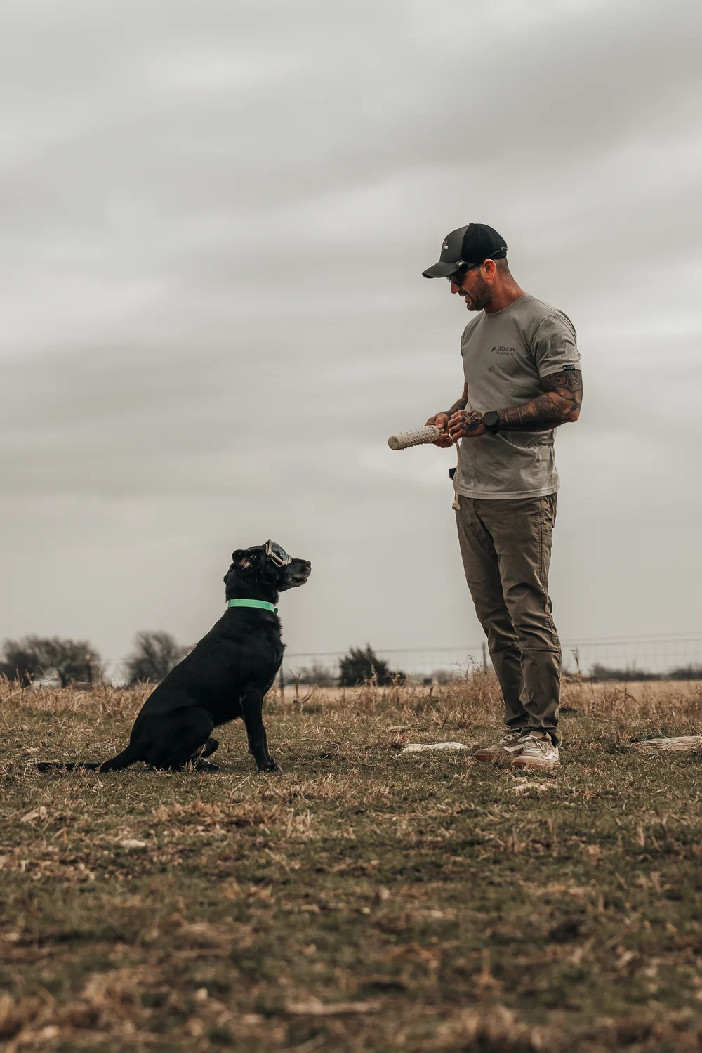 Off Leash K9 Training Fort Worth proven results