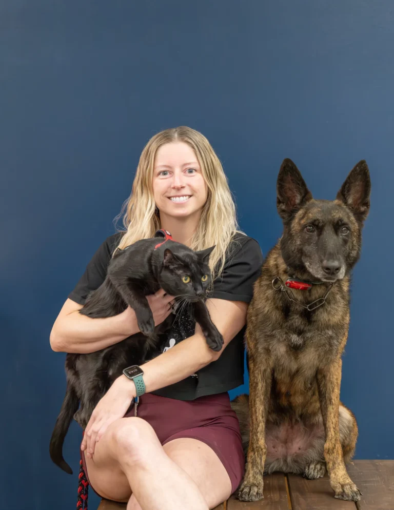 Brittany — Off Leash K9 Training of Dallas